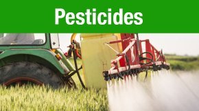 Pesticides