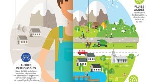 Enjeux environnementaux