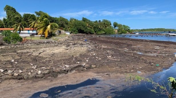 Étude exploratoire : influence des conditions environnementales sur les concentrations en H<sub>2</sub>S liées aux échouements de sargasses en Martinique