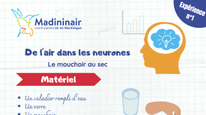 Fiche expérience n°1&nbsp;: Le mouchoir au sec