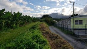Campagne de mesures de pesticides dans l’air, en Martinique