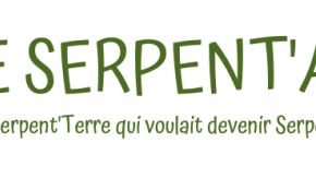 Fiche présentation animation&nbsp;: Le Serpent’Air