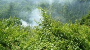 Interdiction du brûlage à l’air libre des déchets verts