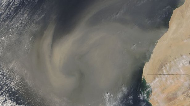 Brumes de sable : l’ANSES confirme leur impact sur la santé