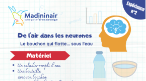 Fiche expérience n°2&nbsp;: Le bouchon qui flotte...sous l’eau&nbsp;!