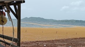 31/05/25 - Évolution du réseau de surveillance continue des émanations des Sargasses en Martinique