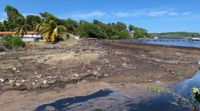Étude exploratoire : influence des conditions environnementales sur les concentrations en H<sub>2</sub>S liées aux échouements de sargasses en Martinique
