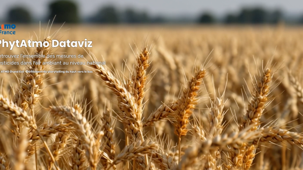 PhytAtmo Dataviz&nbsp;: une nouvelle plateforme nationale pour mieux comprendre les pesticides dans l’air